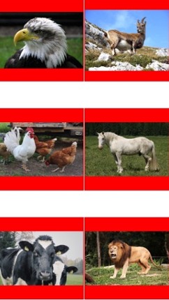 Animal Picture Matching Kids Games:Memory Matches screenshot