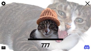 Catwifhat Image