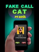 Fake Call Cat Prank Image