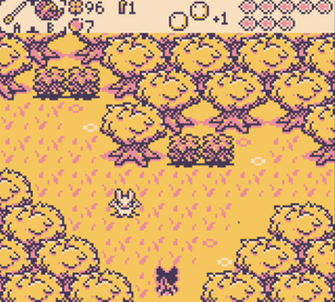 Fortuna and the Broken Mirror Image