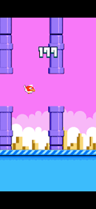Faulty Flap Image
