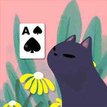 Solitaire: Decked Out Image