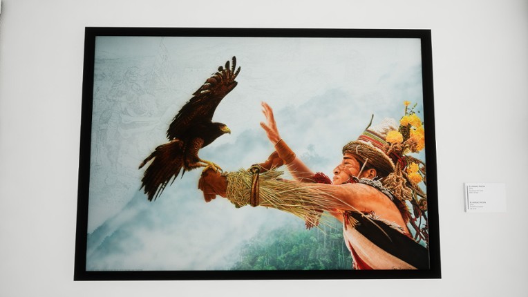 Pronovost Art Gallery screenshot