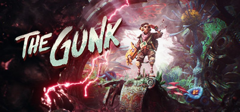 The Gunk Image