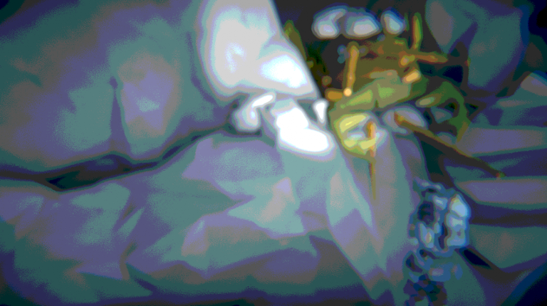 Frogwoman Image