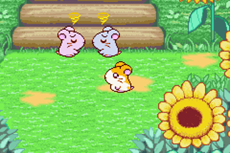 Hamtaro: Ham-Ham Heartbreak Image