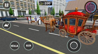 Passenger Camel Taxi Driving Image