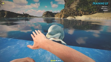 Dolphin Trainer VR Image