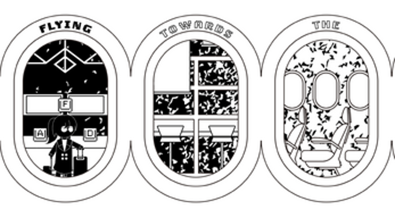 Flying Towards The Daylight Image