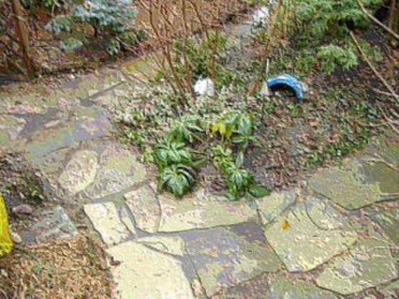 Plastic Winter Garden Image