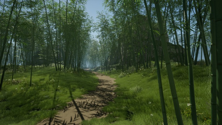 Reverse Immortal Image