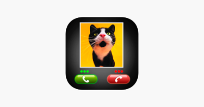 Fake Call Cat Prank Image