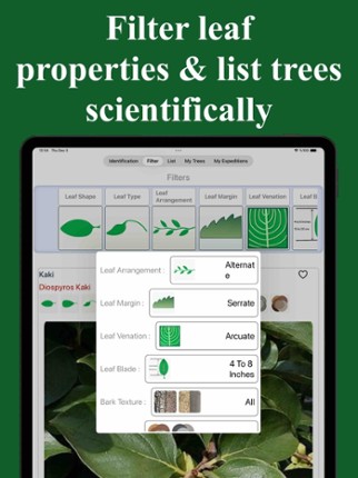 Forest Tree Identification screenshot