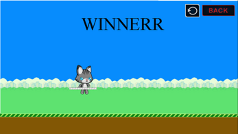 1 VS 1 CAT 1.3 screenshot