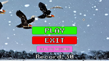 FinalPractice_DuckHunter22 Image