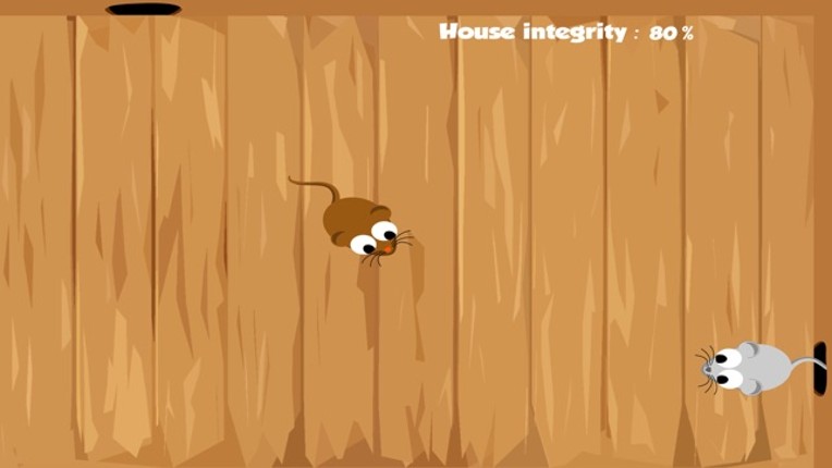 HappyCats Pro - Game for cats screenshot