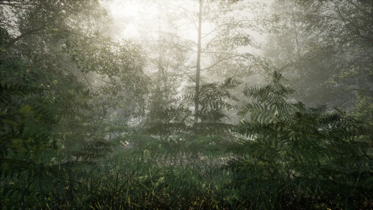 Obey the Rules: Forest screenshot