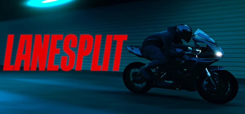 LANESPLIT Image