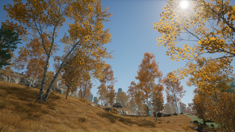 Reverse Immortal Image