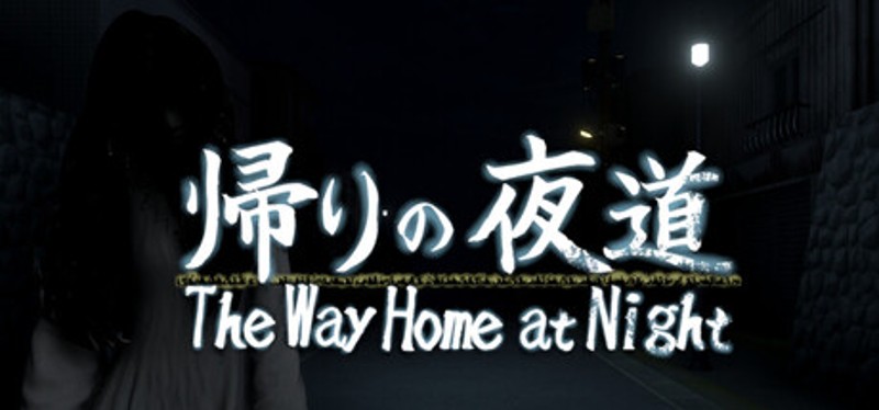 The Way Home at Night Image