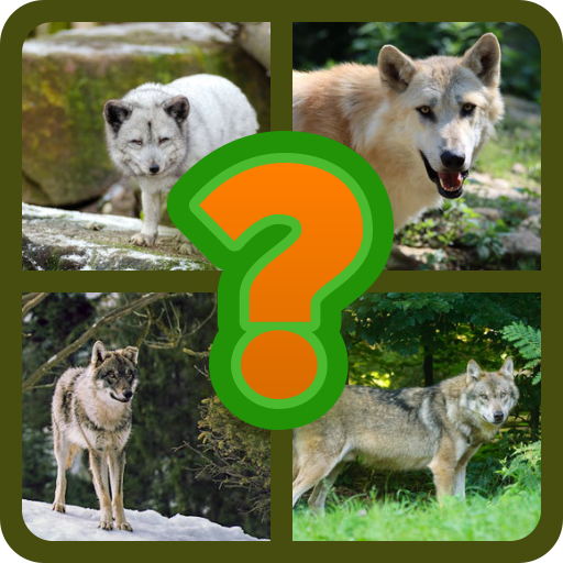 Games like Thinker's Challenge: English Trivia Quiz