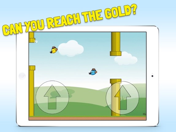 2 Floppy Birds - Twice as fun screenshot
