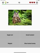 Animals Quiz - Mammals in Zoo Image