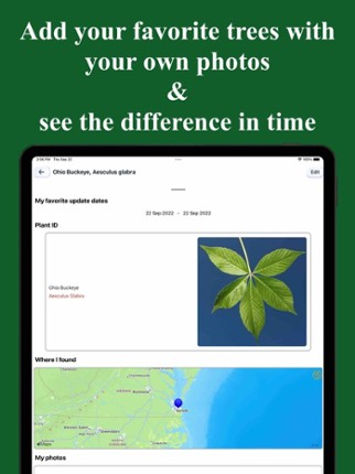 Forest Tree Identification screenshot