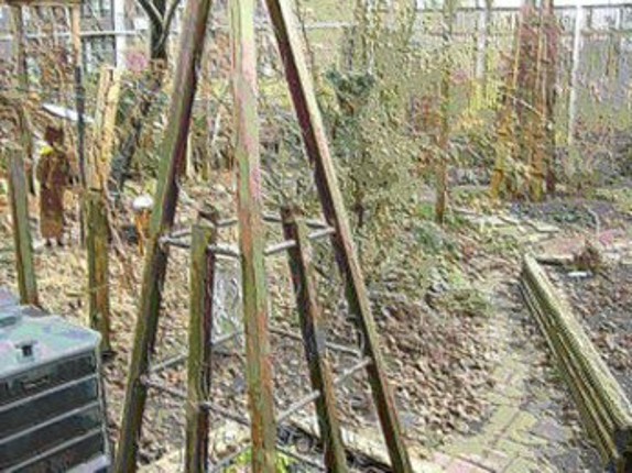 Plastic Winter Garden Image