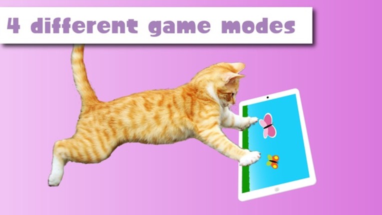 HappyCats Pro - Game for cats screenshot