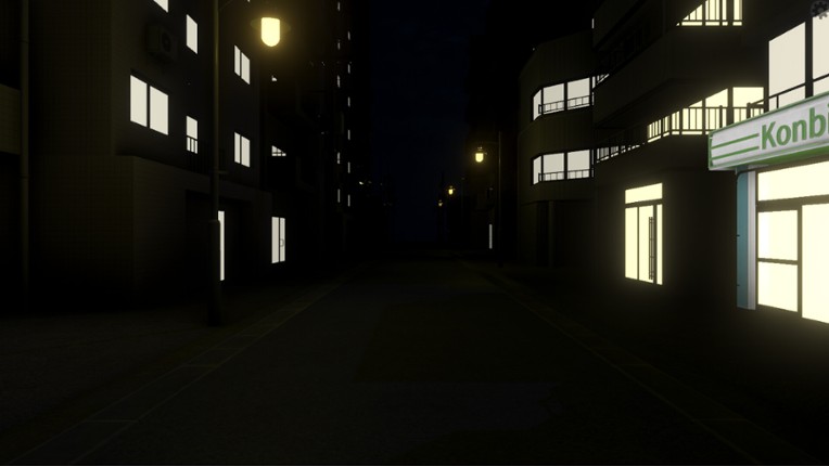 The Way Home at Night Image