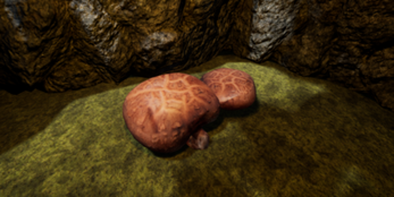 Mushroom Hunter Image