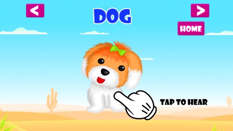 Learn Vocabulary A to Z and Matching Shadow Games screenshot