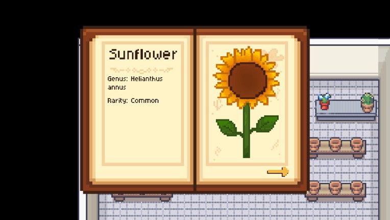 Marsh's Mellow Flower Shop screenshot