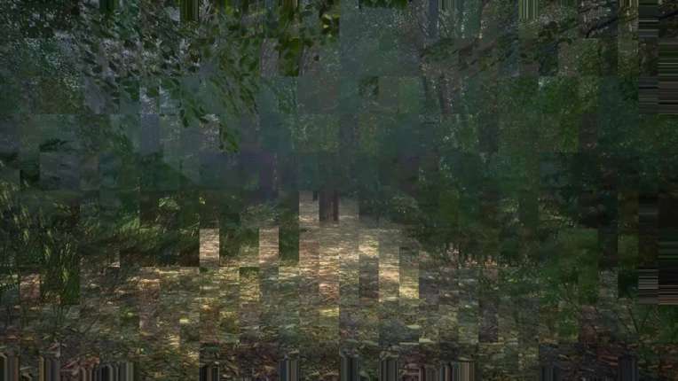 Obey the Rules: Forest screenshot