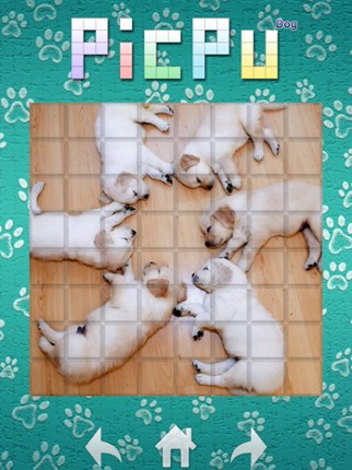 PicPu - Dog Picture Puzzle screenshot