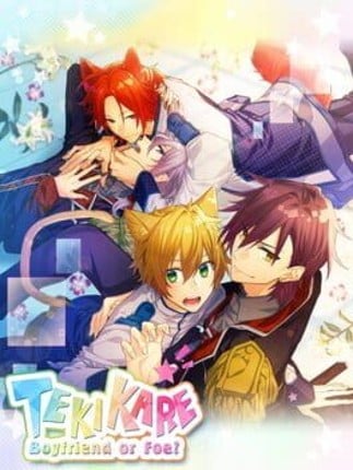 TekiKare: Boyfriend or Foe? Game Cover