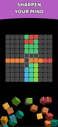 100 Color Block Puzzle Classic screenshot