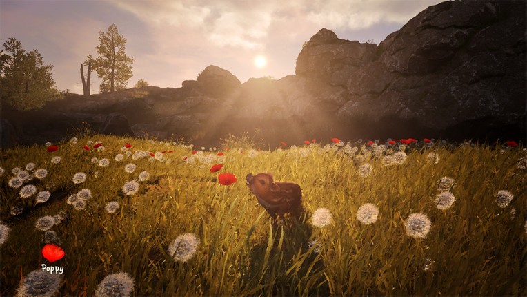 Adorable Adventures screenshot