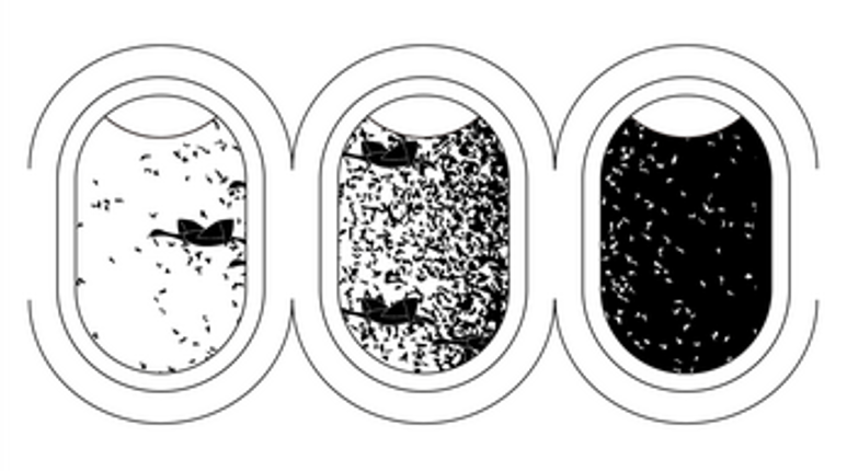 Flying Towards The Daylight Image