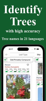 Forest Tree Identification screenshot