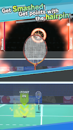 Badminton3D Real Badminton Image
