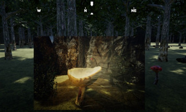 Mushroom Hunter screenshot
