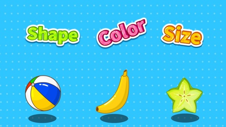 Shape Color Size by BabyBus screenshot