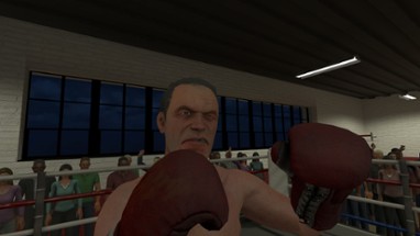 The Thrill of the Fight - VR Boxing Image