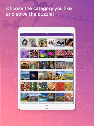 Your Jigsaw Puzzles Image
