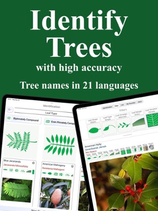 Forest Tree Identification screenshot