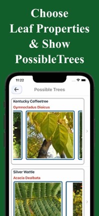 Forest Tree Identification screenshot
