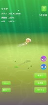 Jellyfish World Image