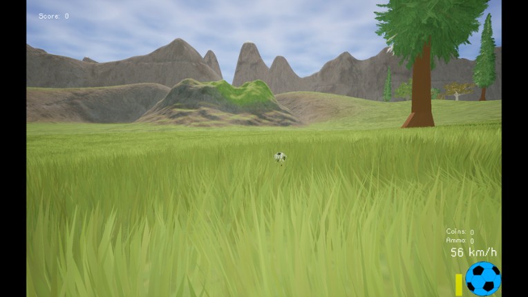 Soccer Ball Simulator Image